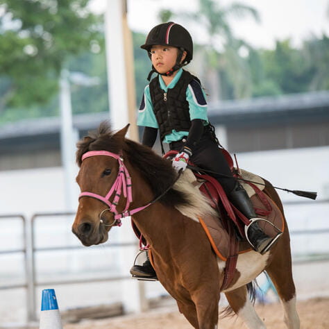 广州市番禺区诺德安达学校 | 广州双语学校 - Small Text And Image Checklist