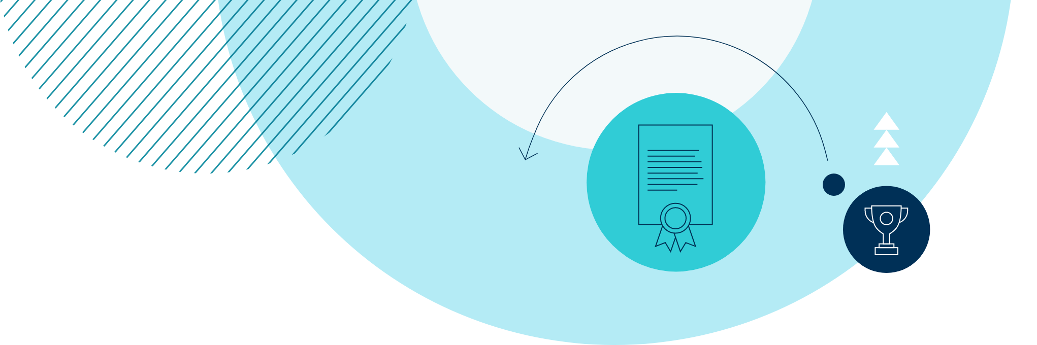 入学资格与学费 | 广州市番禺区诺德安达学校 - 08 - Feature Cards Pattern